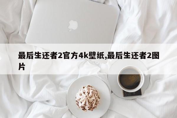 最后生还者2官方4k壁纸,最后生还者2图片