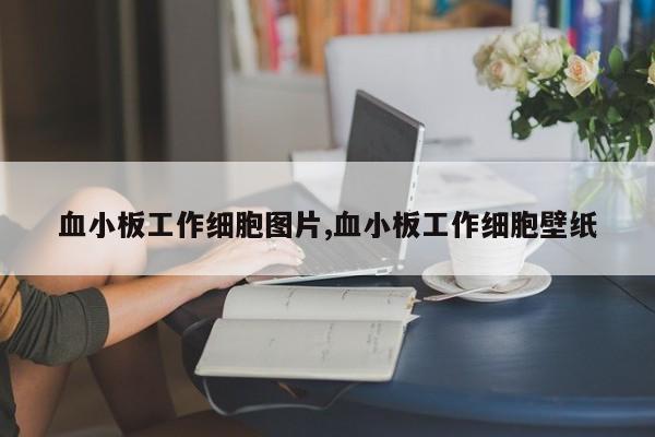 血小板工作细胞图片,血小板工作细胞壁纸