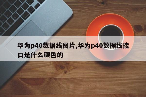 华为p40数据线图片,华为p40数据线接口是什么颜色的