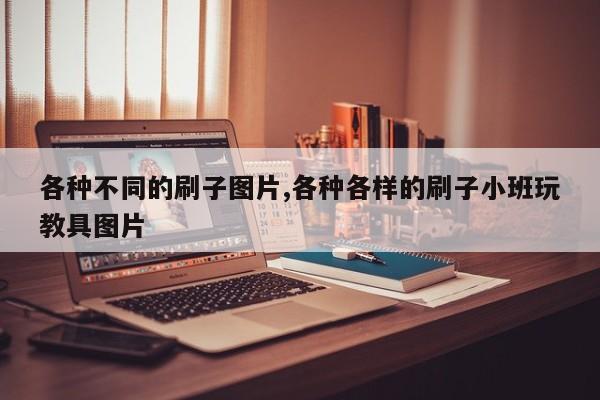 各种不同的刷子图片,各种各样的刷子小班玩教具图片