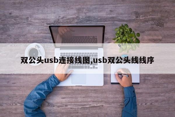 双公头usb连接线图,usb双公头线线序