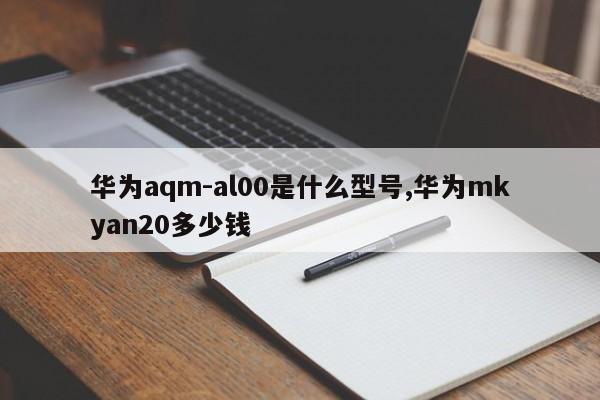 华为aqm-al00是什么型号,华为mkyan20多少钱