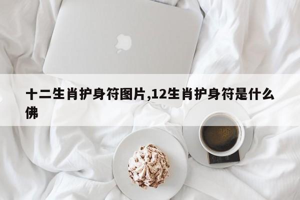 十二生肖护身符图片,12生肖护身符是什么佛