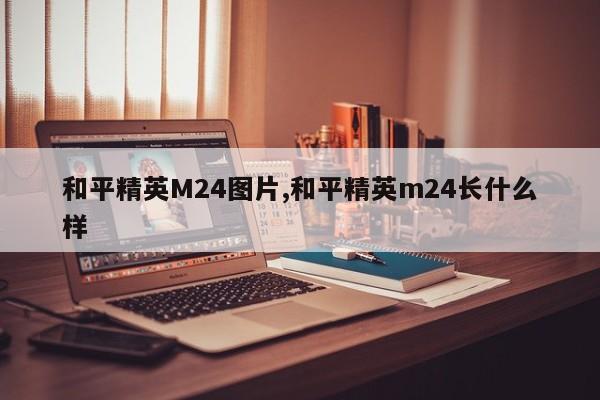 和平精英M24图片,和平精英m24长什么样