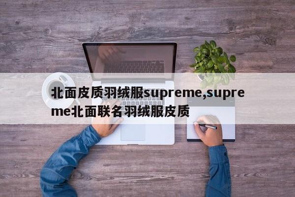 北面皮质羽绒服supreme,supreme北面联名羽绒服皮质