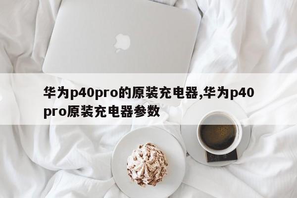 华为p40pro的原装充电器,华为p40pro原装充电器参数