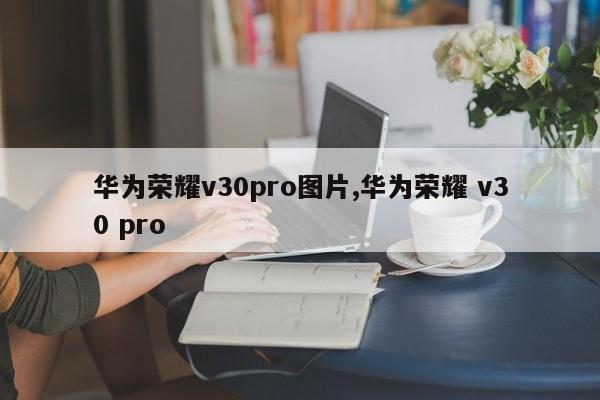 华为荣耀v30pro图片,华为荣耀 v30 pro