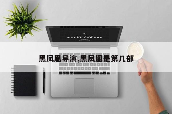黑凤凰导演,黑凤凰是第几部