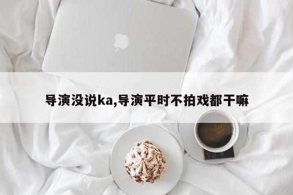 导演没说ka,导演平时不拍戏都干嘛