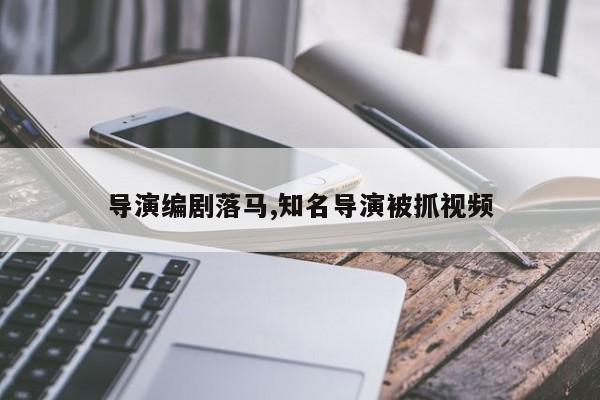 导演编剧落马,知名导演被抓视频