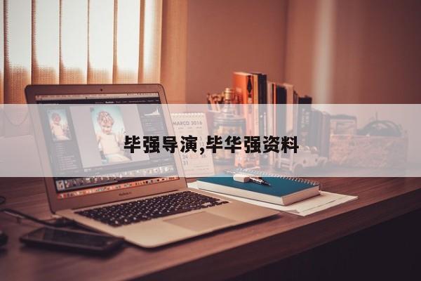 毕强导演,毕华强资料
