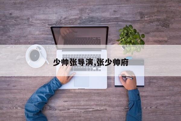 少帅张导演,张少帅府