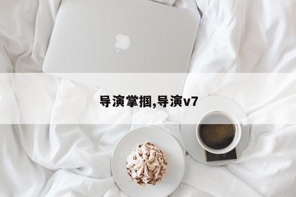 导演掌掴,导演v7