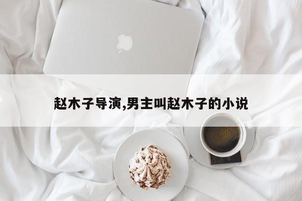 赵木子导演,男主叫赵木子的小说