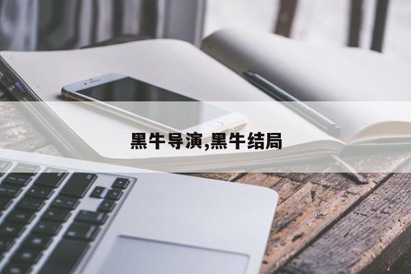 黑牛导演,黑牛结局