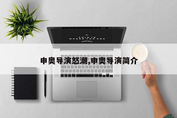 申奥导演怒潮,申奥导演简介