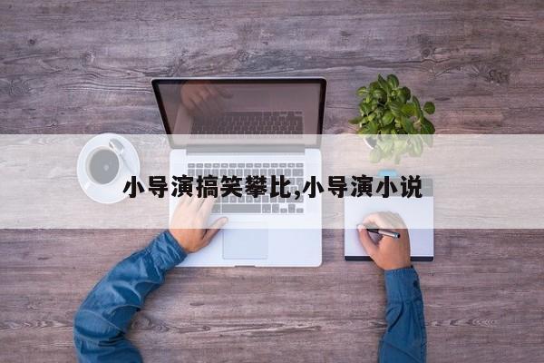 小导演搞笑攀比,小导演小说