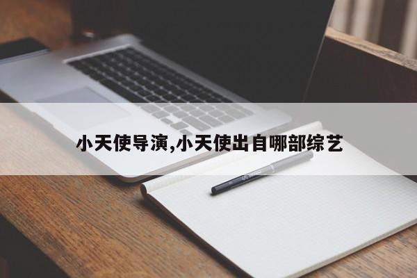 小天使导演,小天使出自哪部综艺