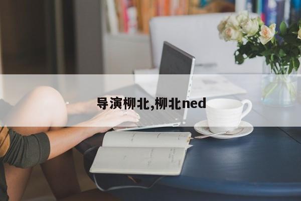 导演柳北,柳北ned